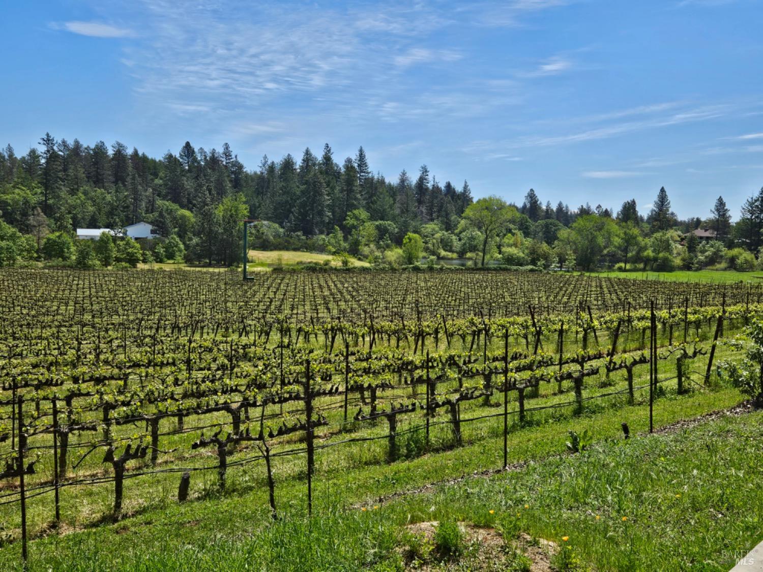 1275 Summit Lake Drive Angwin, CA 94508 - Photo 73 of 73