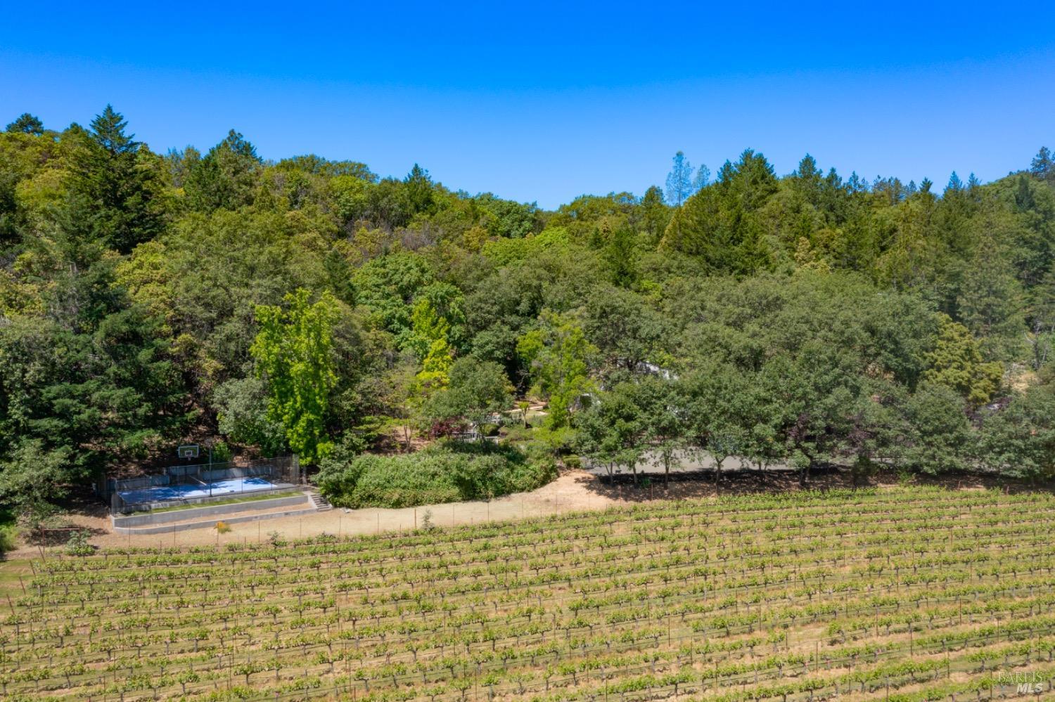 1275 Summit Lake Drive Angwin, CA 94508 - Photo 10 of 73