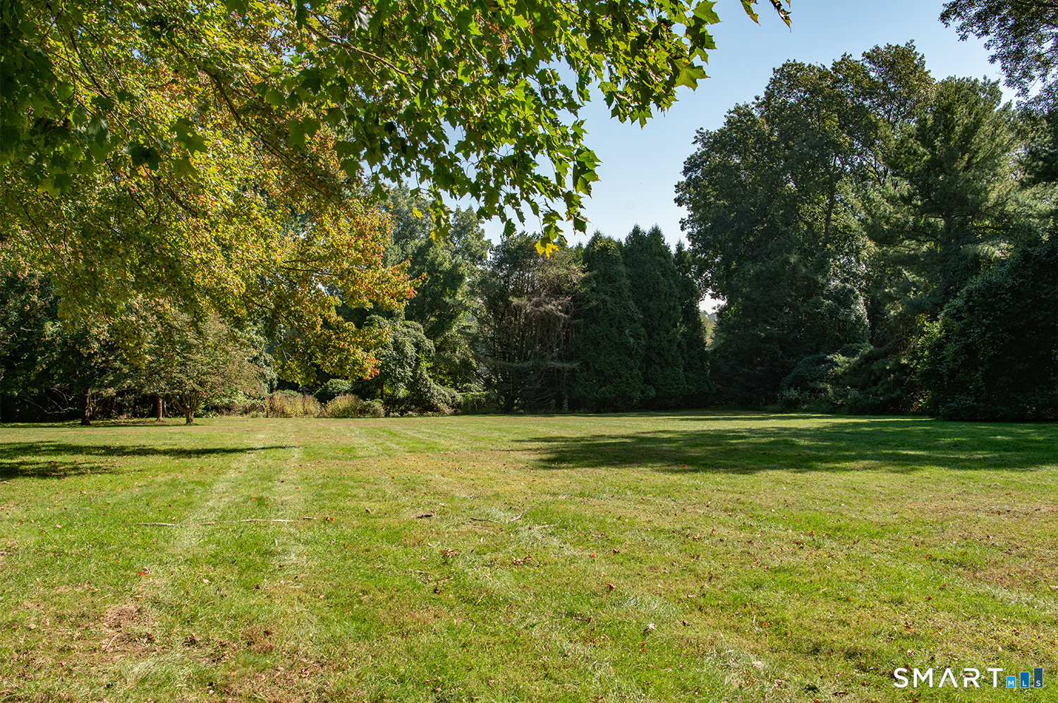 775 Sasco Hill Road Fairfield, CT 06824 - Photo 29 of 36 a view of a big yard with a large tree