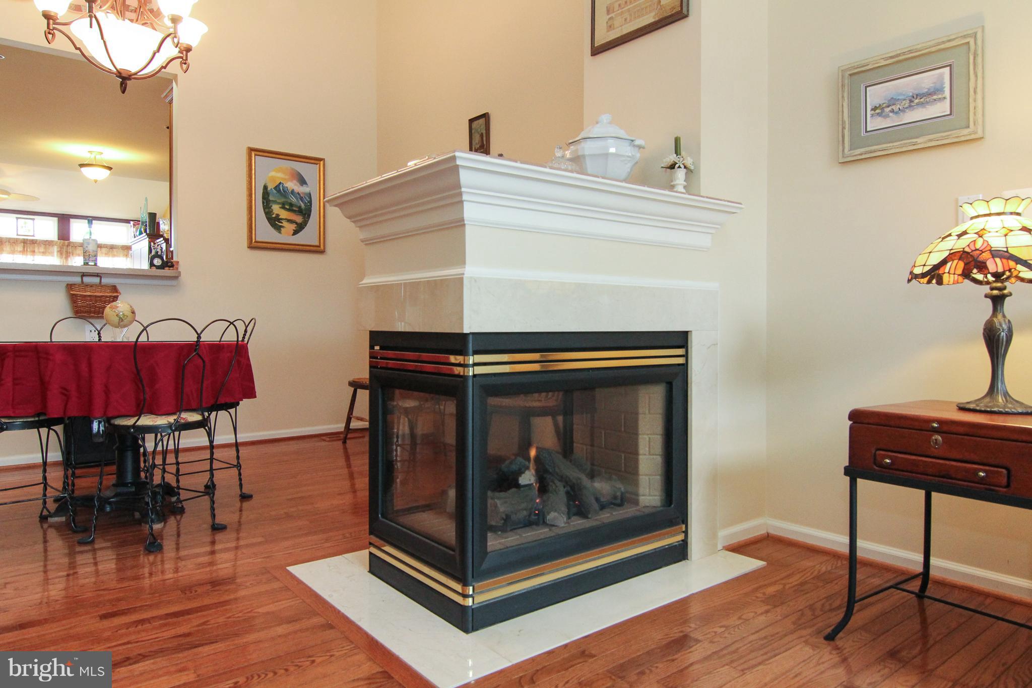 4401 Summer Grape Road Baltimore, MD 21208 - Photo 8 of 30 Lovely Gas Fireplace