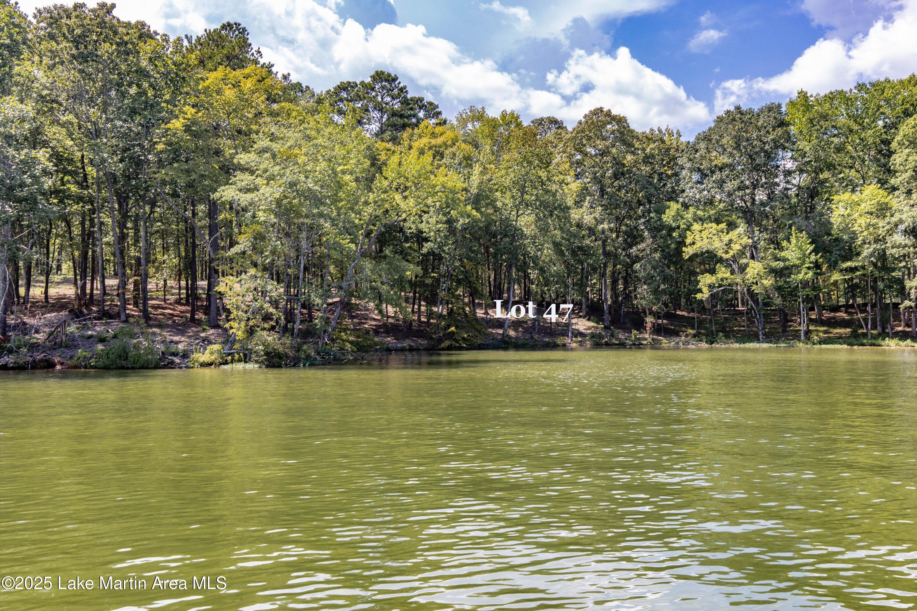 2653 Sturdivant Road Jacksons Gap, AL 36861 - Photo 2 of 8 16-Lot 47