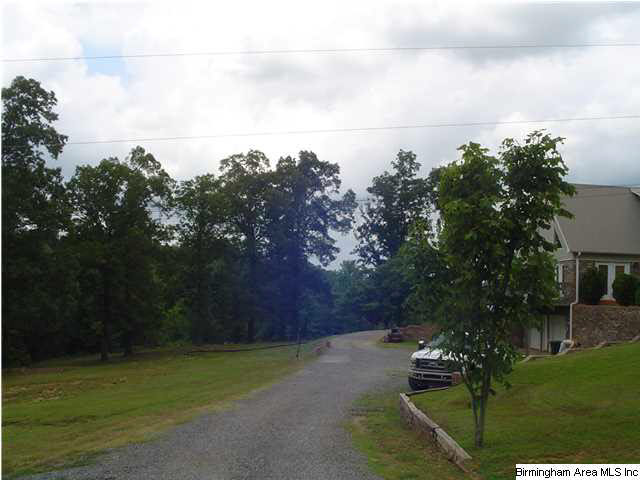 385 Ray Drive Locust Fork, AL 35097 - Photo 30 of 31