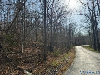 0 Paynes Pond Road Scottsville, VA 24590 - Photo 39 of 44