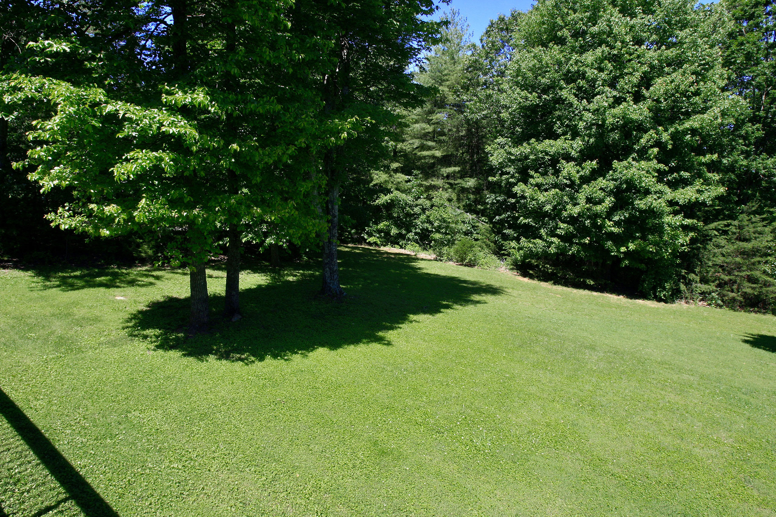 390 Stonybrook Road Wirtz, VA 24184 - Photo 43 of 59 Nice 1 acre lot