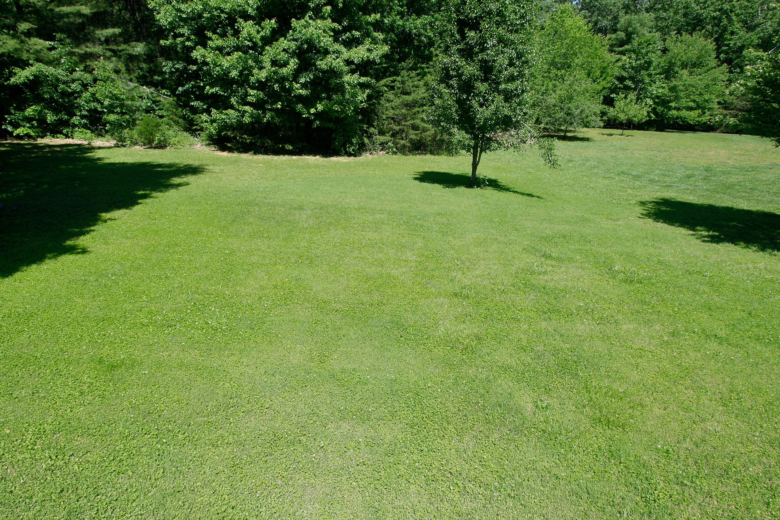 390 Stonybrook Road Wirtz, VA 24184 - Photo 44 of 59 _V4B9594.jpeg