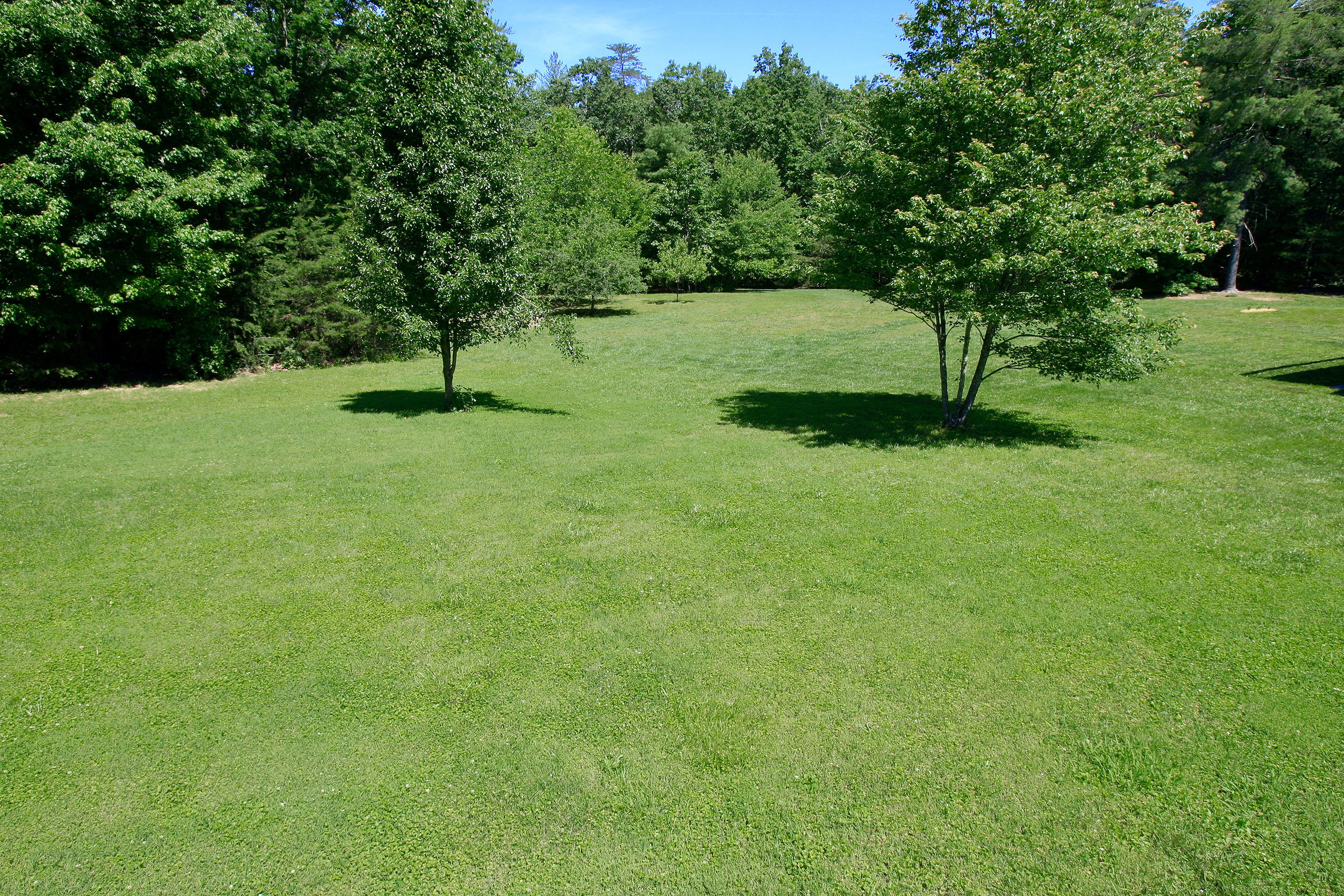 390 Stonybrook Road Wirtz, VA 24184 - Photo 45 of 59 _V4B9595.jpeg