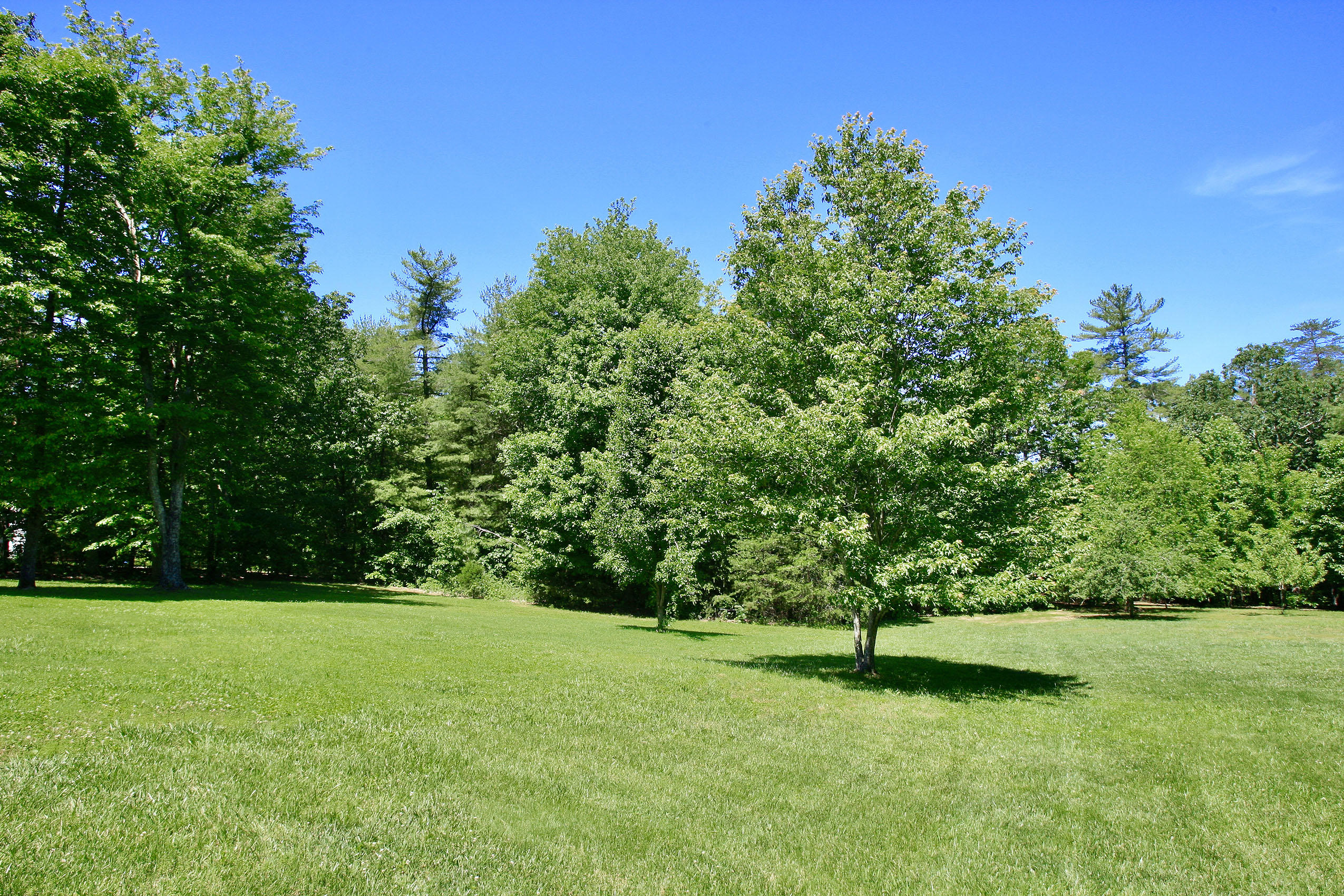 390 Stonybrook Road Wirtz, VA 24184 - Photo 49 of 59 _V4B9609.jpeg