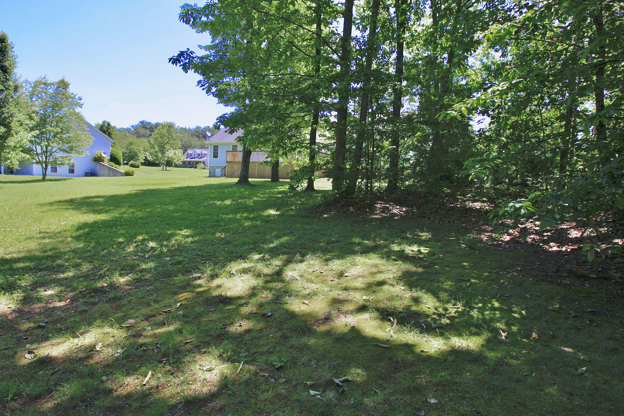 390 Stonybrook Road Wirtz, VA 24184 - Photo 55 of 59 _V4B9617.jpeg