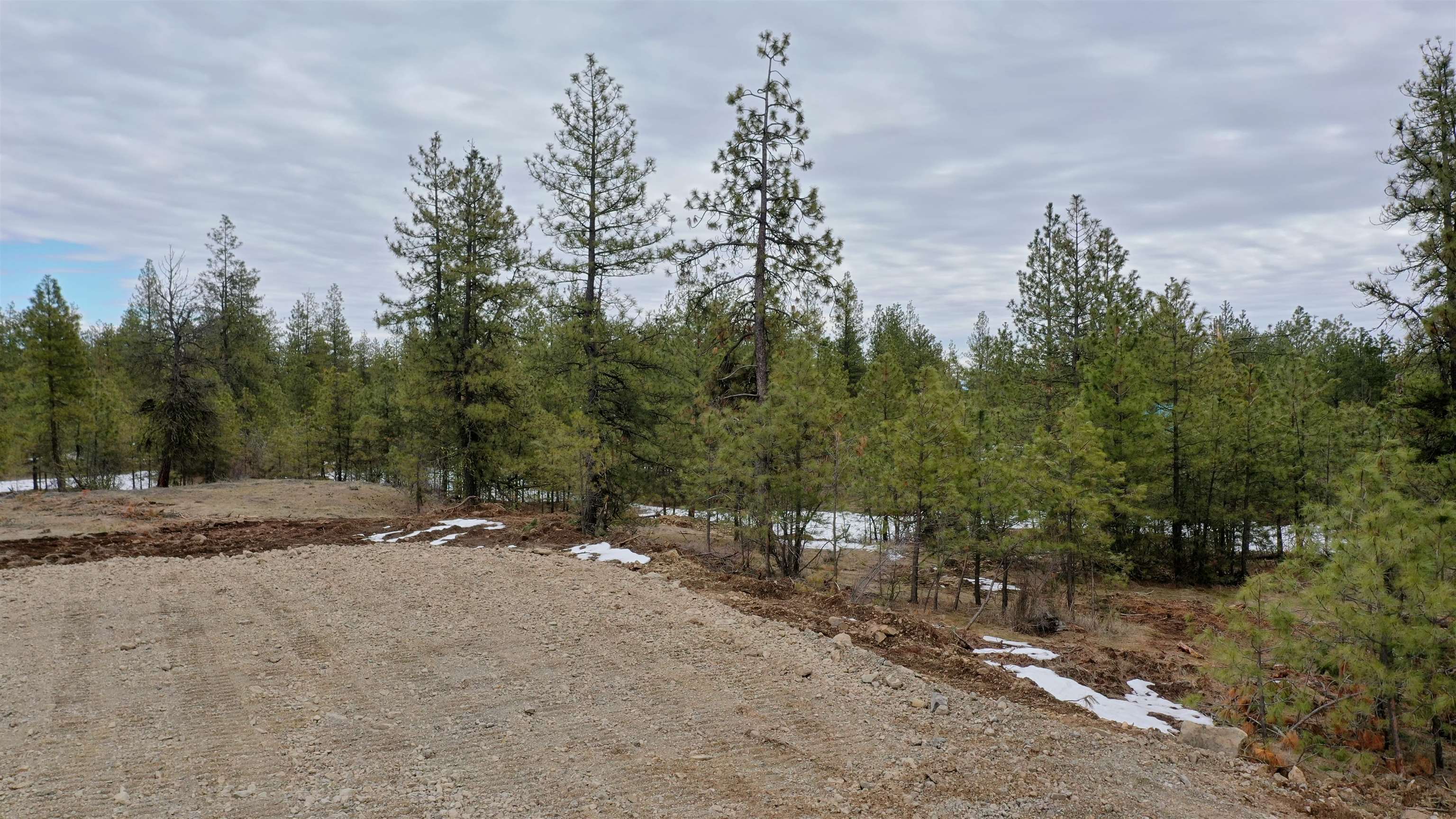 18324 West Burnett Road Nine Mile Falls, WA 99026 - Photo 21 of 34