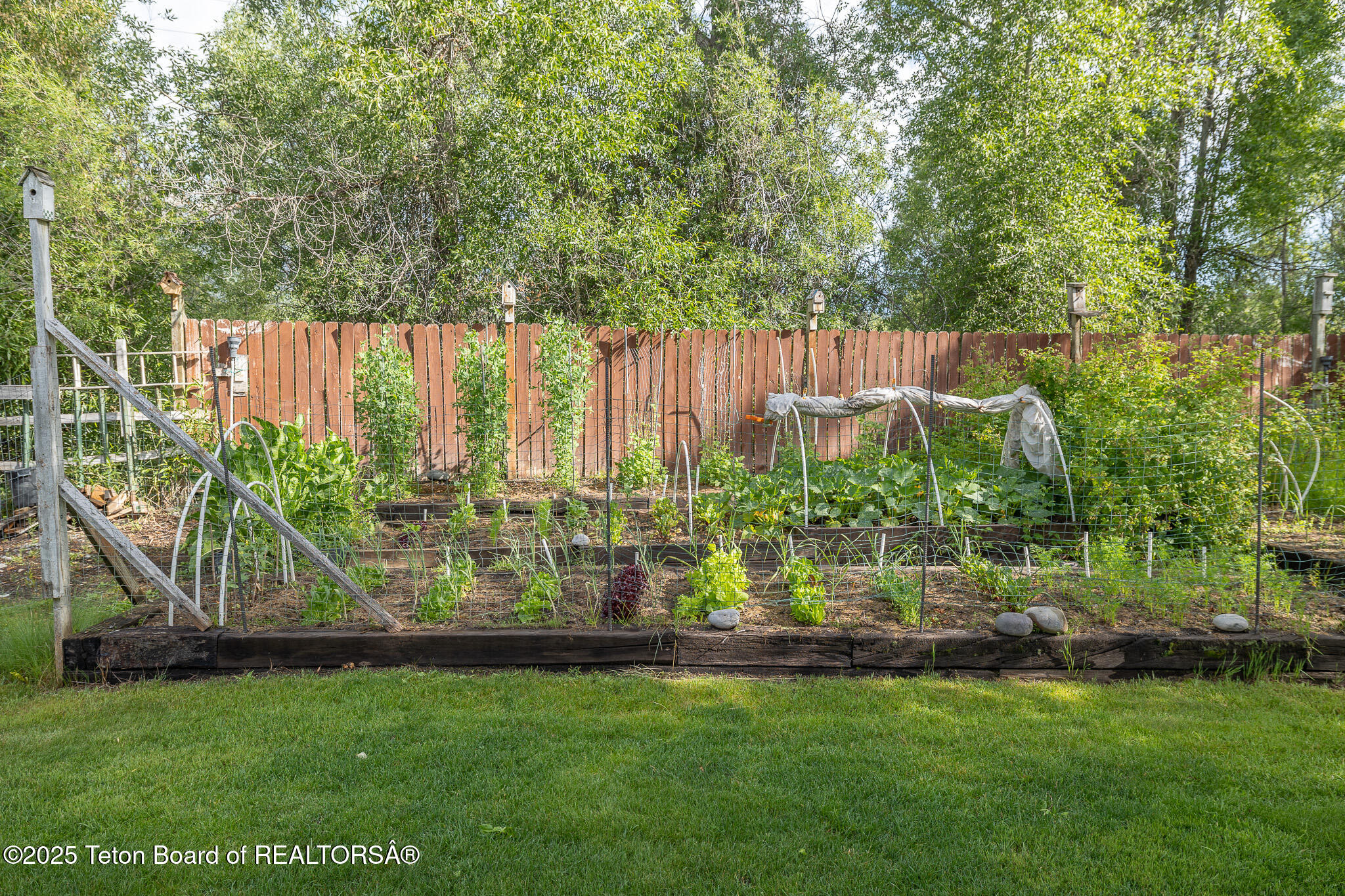 3760 Moose Wilson Road Wilson, WY 83014 - Photo 25 of 30 Garden