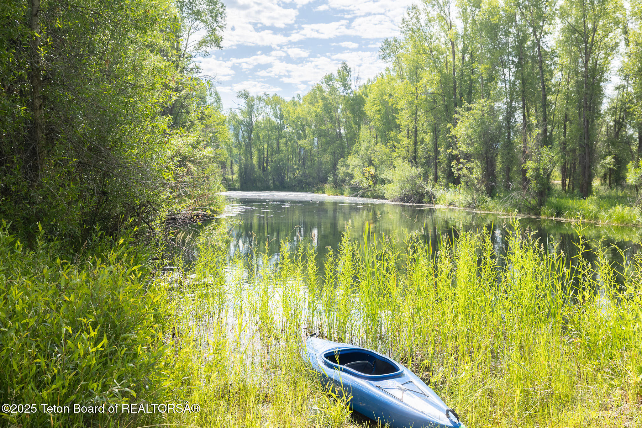 3760 Moose Wilson Road Wilson, WY 83014 - Photo 3 of 30 Pond