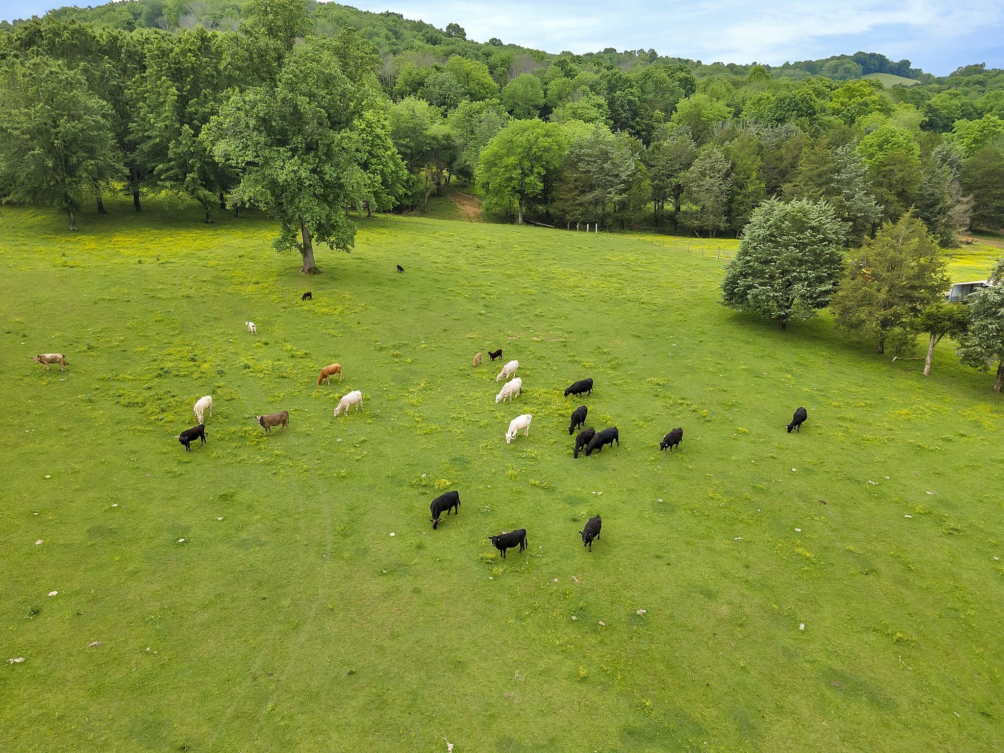 2680 Cedar Grove Road Lebanon, TN 37087 - Photo 8 of 48