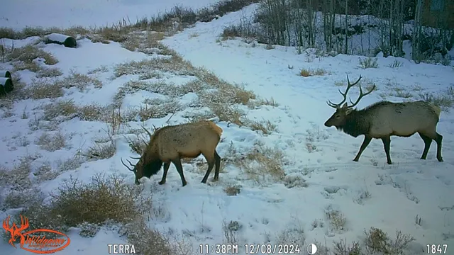 $350,000 | 7465 Uncompahgre Divide Road, Whitewater, CO 81527