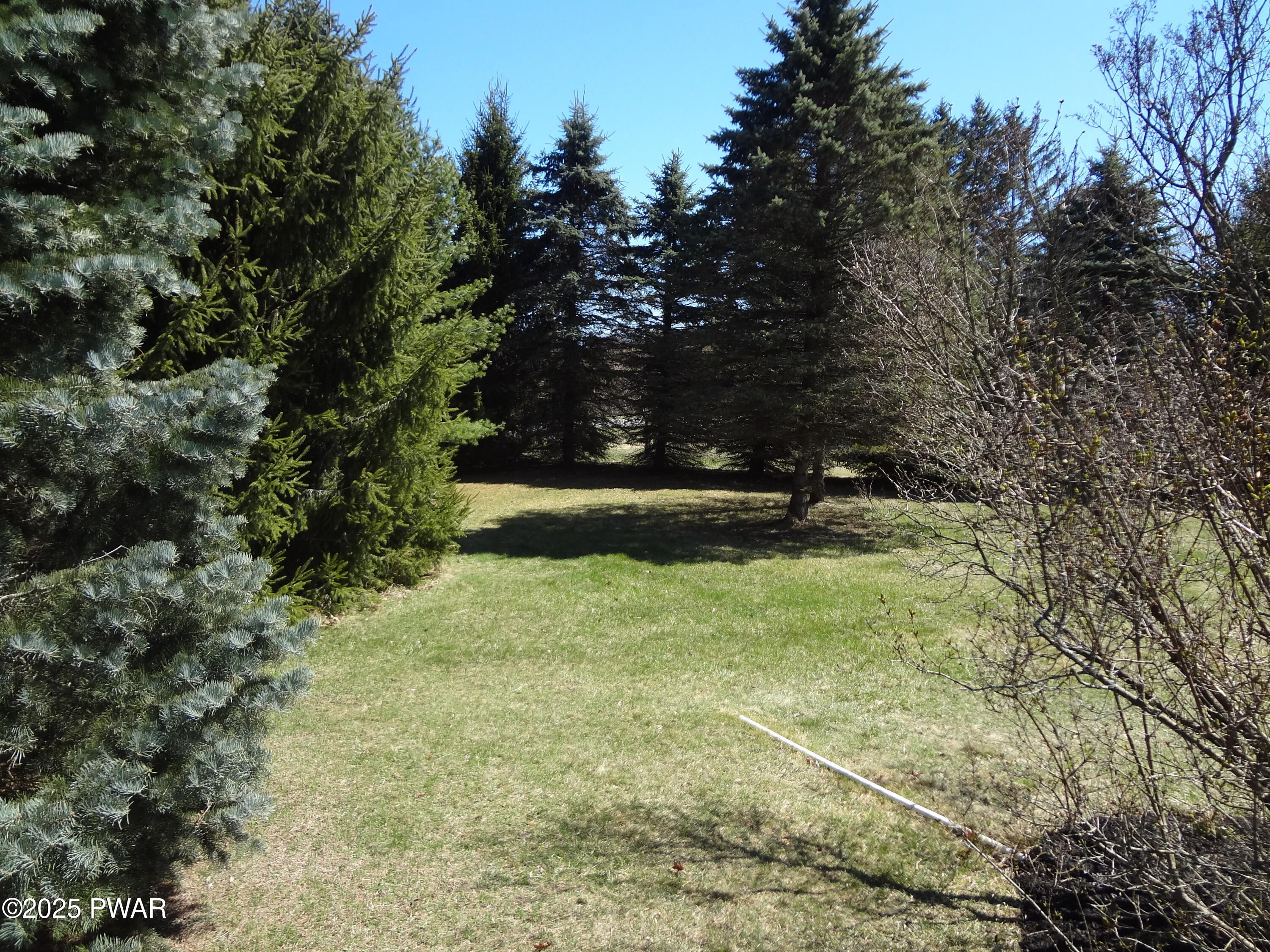 364 Roemerville Road Greentown, PA 18426 - Photo 40 of 45 Side Yard
