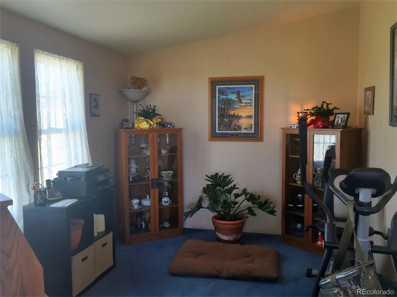 5868 Routt Road Hartsel, CO 80449 - Photo 19 of 26 Gallery Image 19