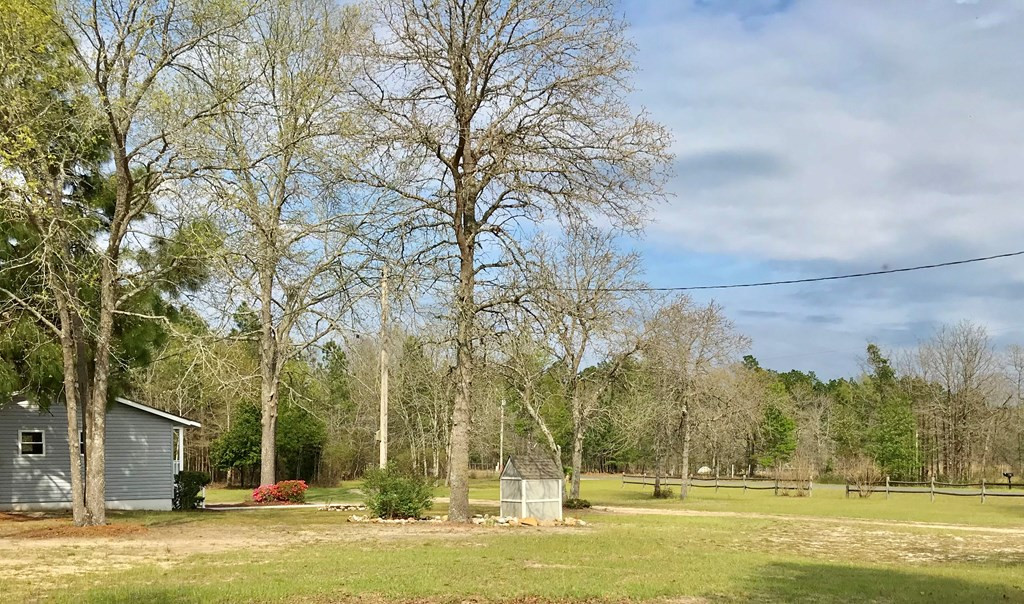 305 Beck Road Williston, SC 29853 - Photo 15 of 31