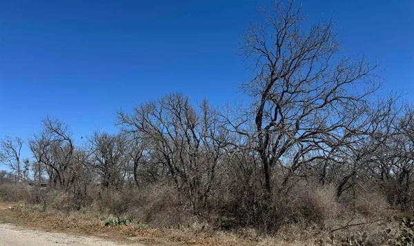 $70,000 | Lot 219 Western Drive, Kingsland, TX 78639