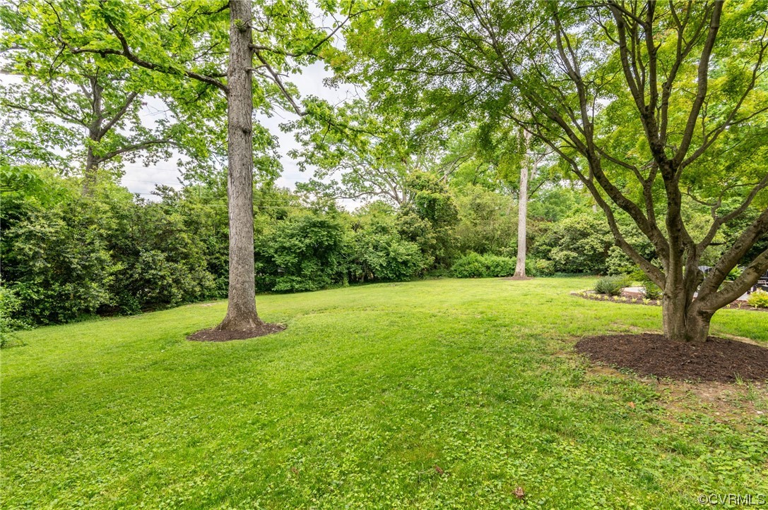 8908 Brieryle Road Henrico, VA 23229 - Photo 46 of 50 a view of a yard with a tree