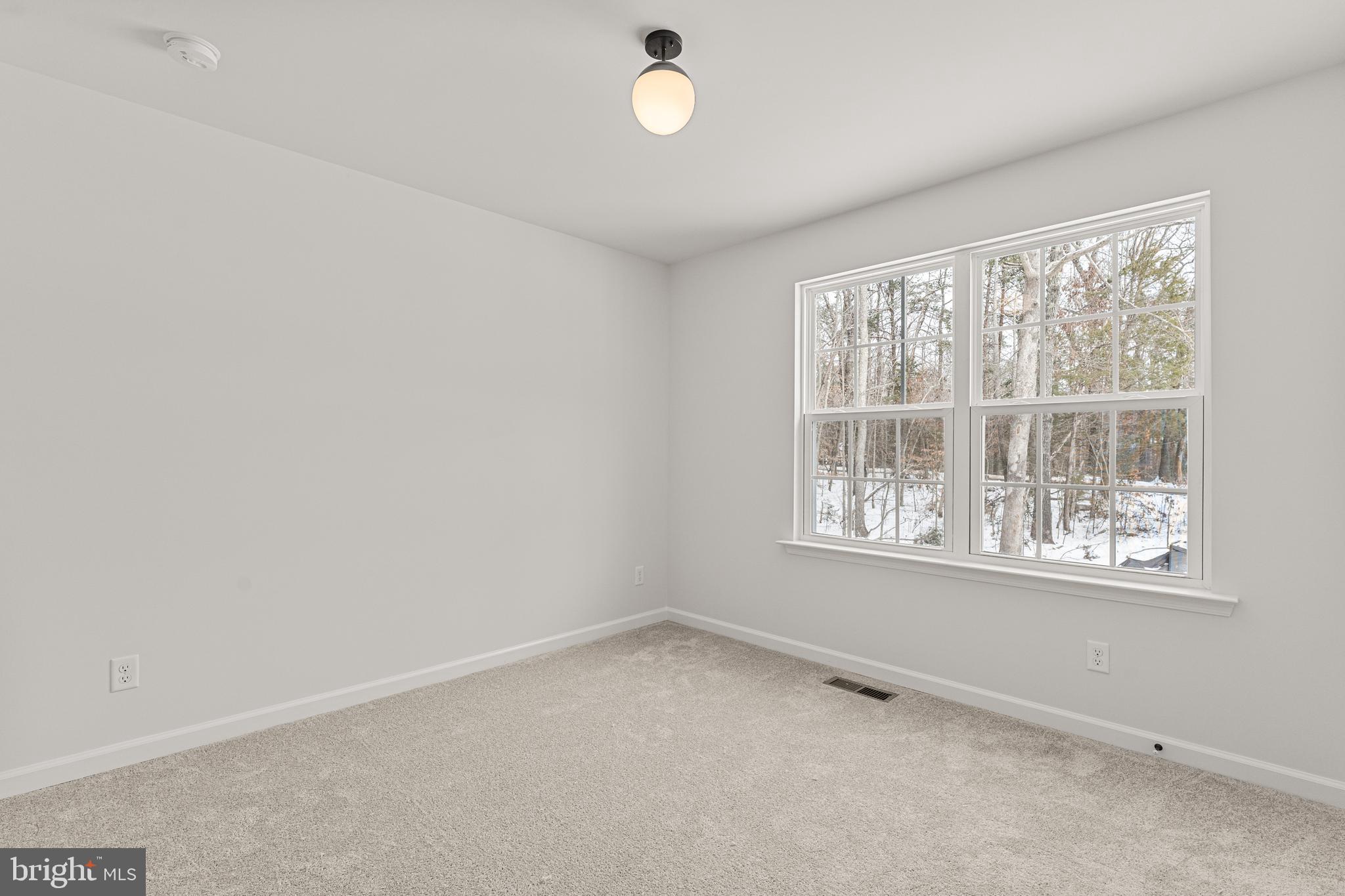 235 Walnut Shade Road Louisa, VA 23093 - Photo 17 of 53 Gallery Image 17