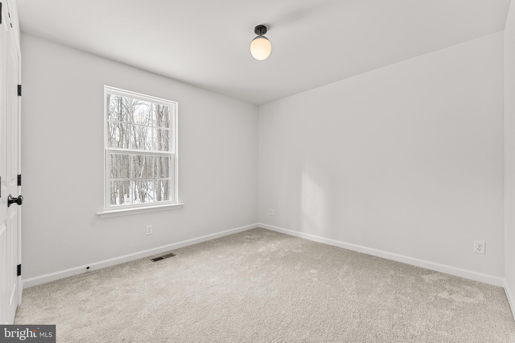 235 Walnut Shade Road Louisa, VA 23093 - Photo 20 of 53 Gallery Image 20