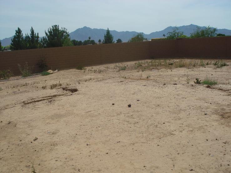 6807 West Fremont Road Laveen, AZ 85339 - Photo 6 of 7 back