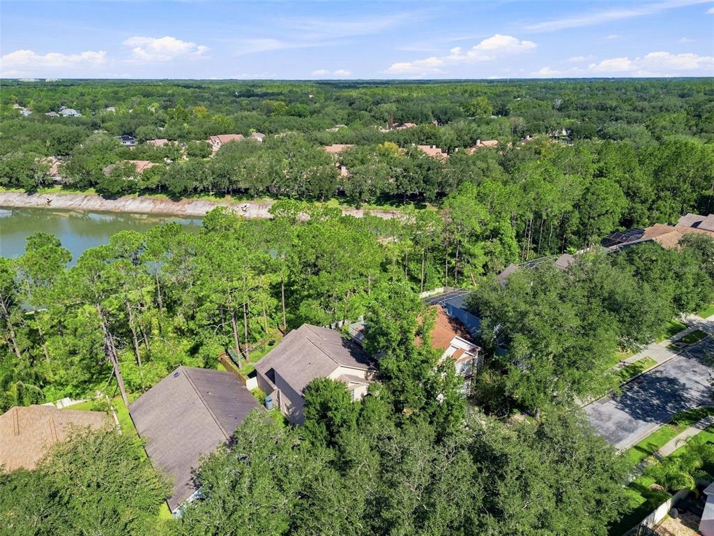 17708 Long Ridge Road Tampa, FL 33647 - Photo 63 of 100 Gallery Image 63