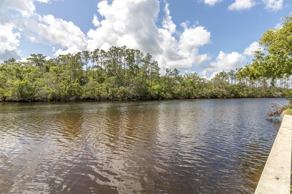 Flotilla Holiday, FL 34690 - Photo 3 of 19