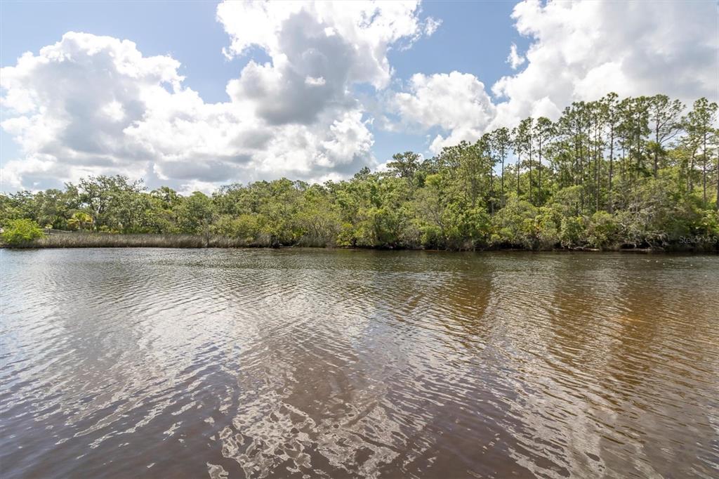 Flotilla Holiday, FL 34690 - Photo 4 of 19 a view of a lake view