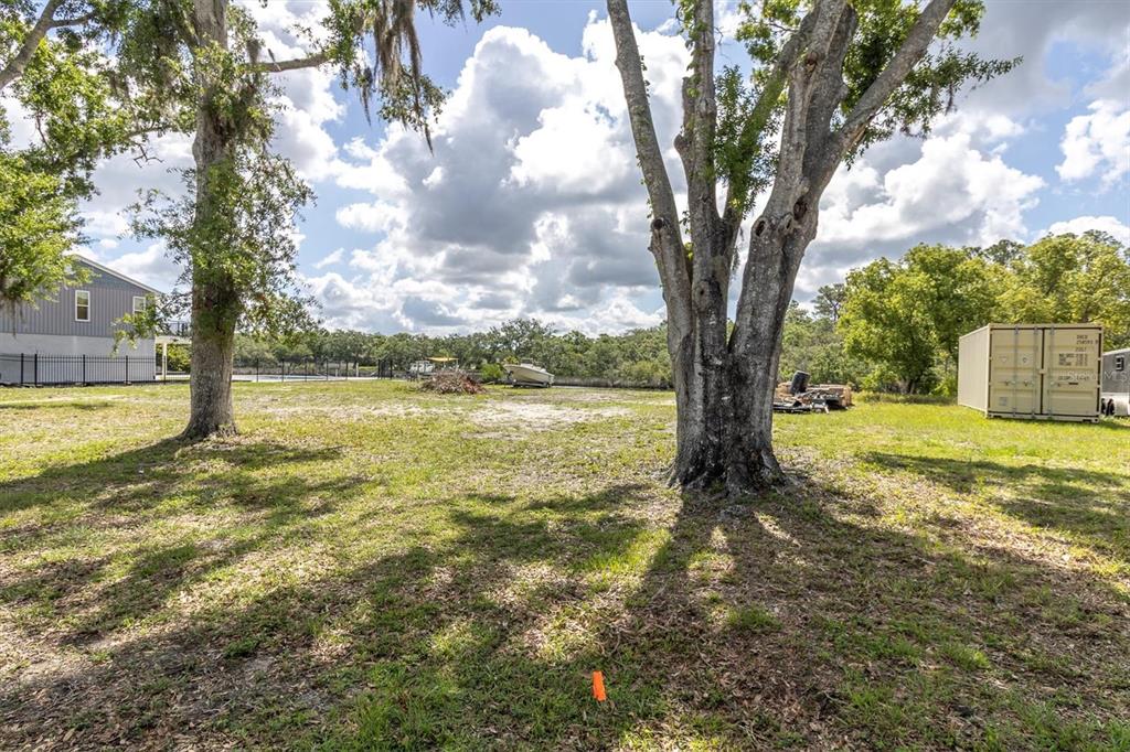 Flotilla Holiday, FL 34690 - Photo 5 of 19 a view of yard with large tree and wooden fence