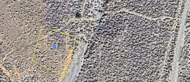 a bathroom with a shower curtain