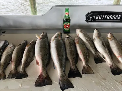 $699,000 | 25649 Chef Menteur Highway, New Orleans, LA 70129