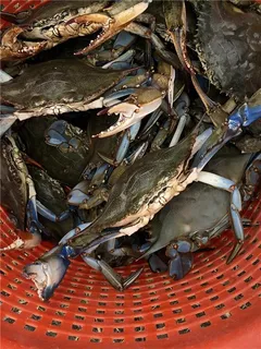 $699,000 | 25649 Chef Menteur Highway, New Orleans, LA 70129