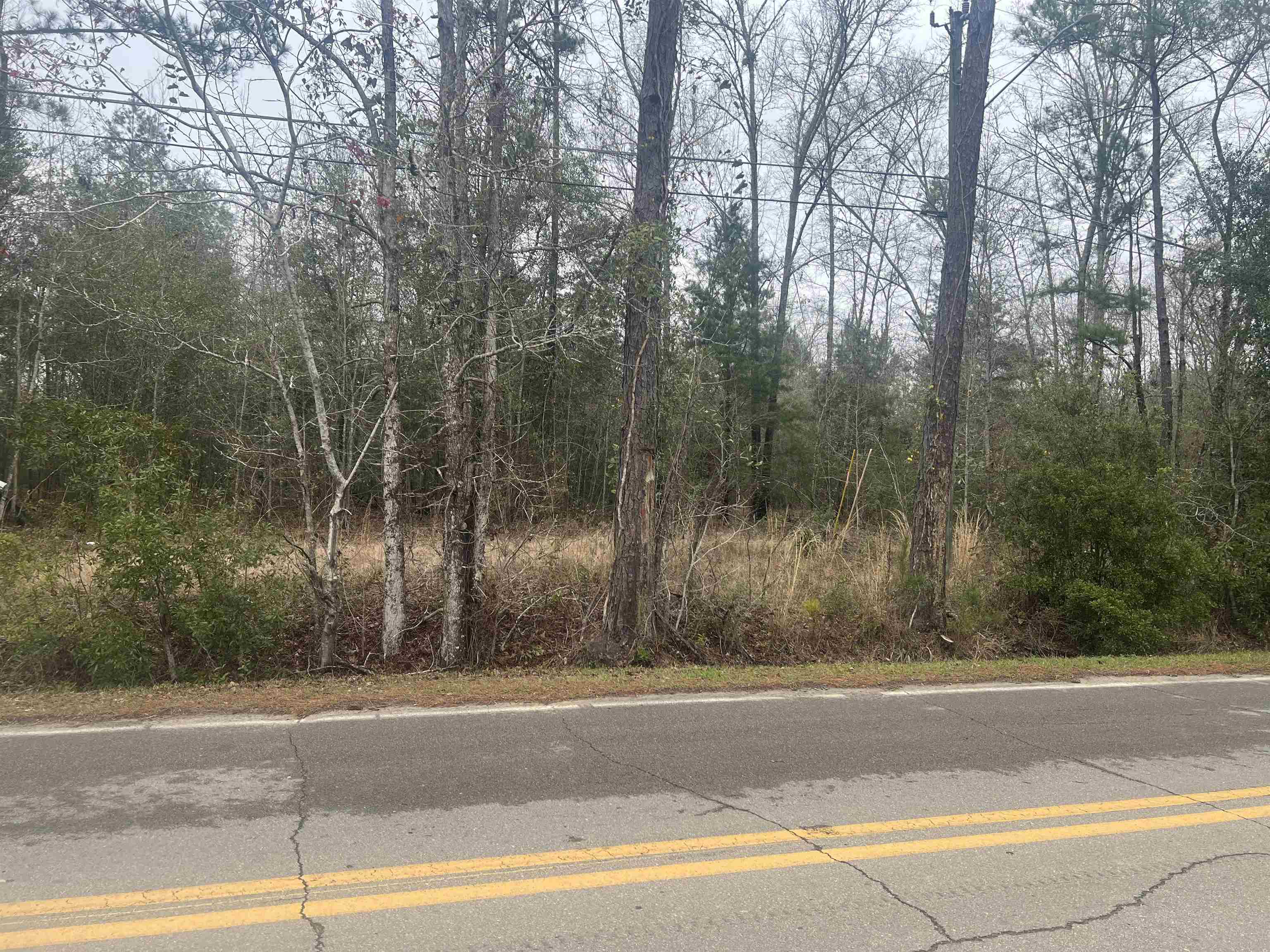 600 Peters Road Midway, FL 32343 - Photo 3 of 3