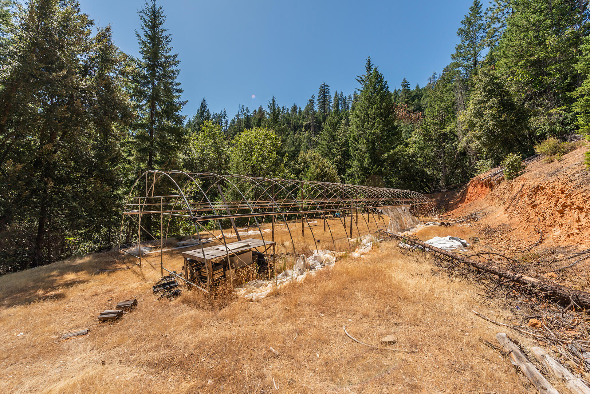 1511 Upper Moore Gulch Road Trinity Center, CA 96091 - Photo 55 of 62 DSC_6733