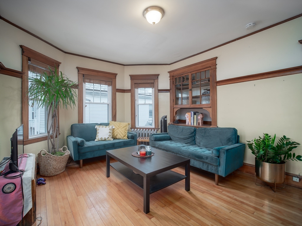 60 Powder House Boulevard, Unit 2 Somerville, MA 02144 - Photo 2 of 42 a living room with furniture and a potted plant