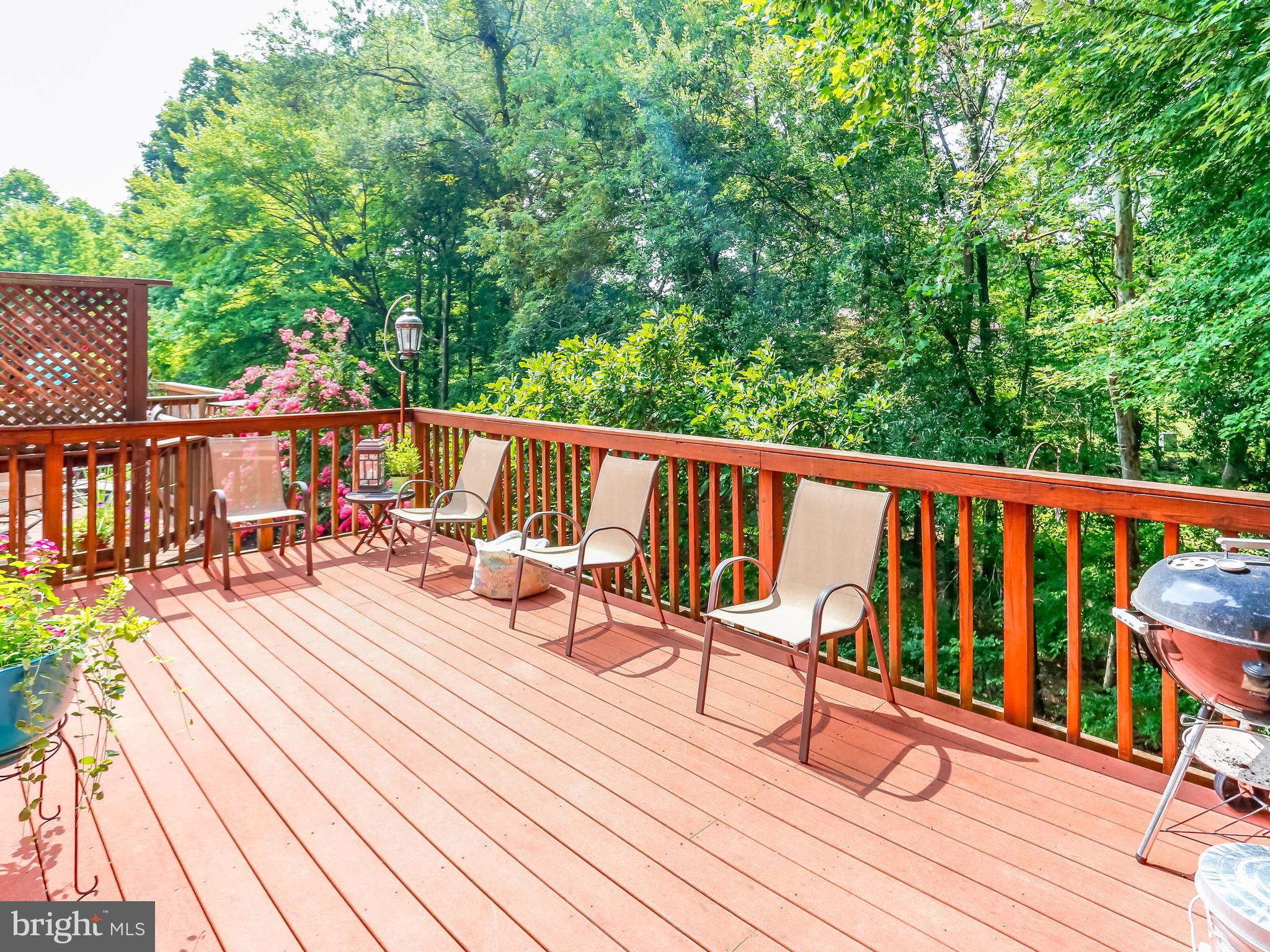 2937 Seminole Road Woodbridge, VA 22192 - Photo 22 of 25 Exterior (Rear)