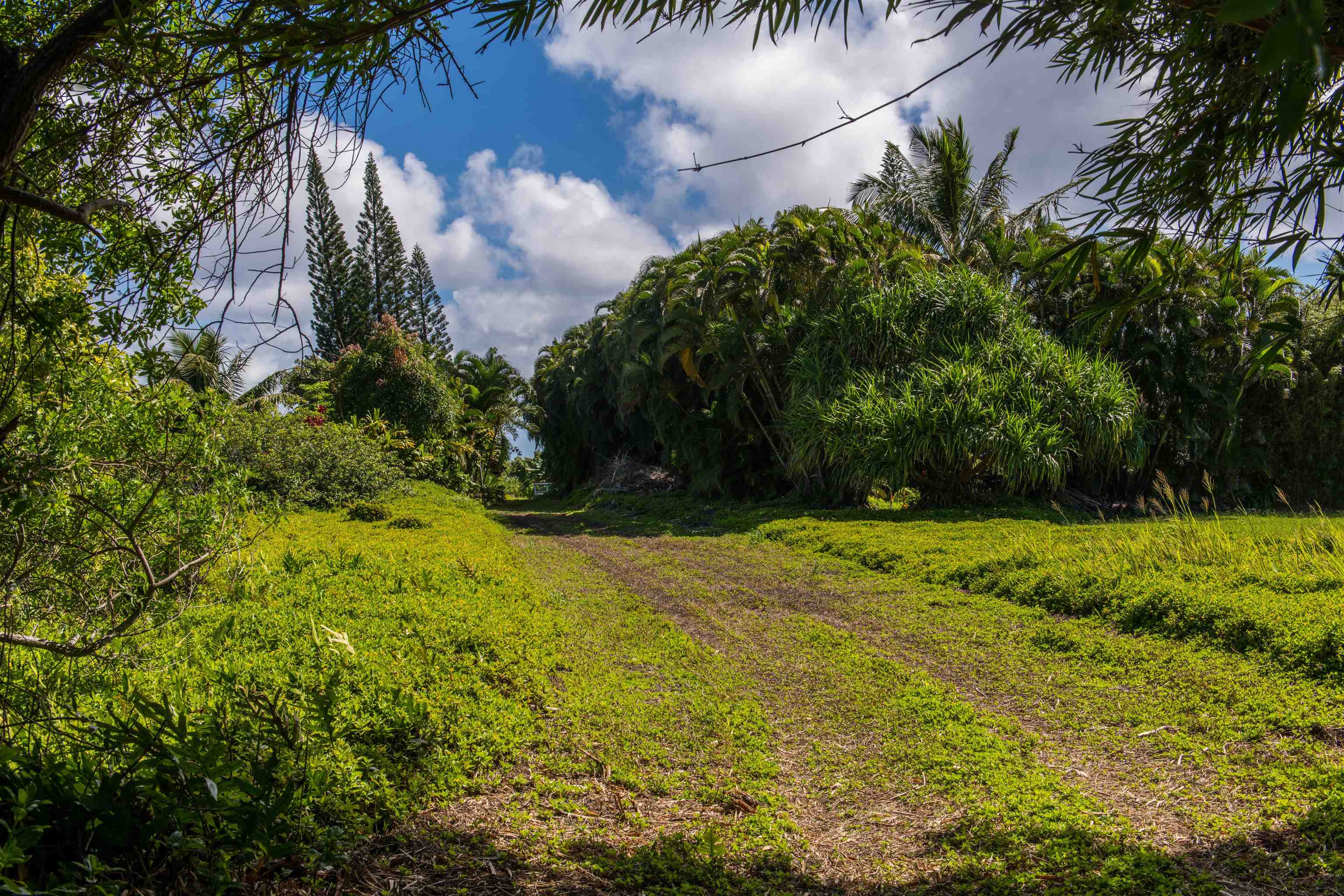 601 North Honokala Road, Unit A Haiku, HI 96708 - Photo 7 of 26