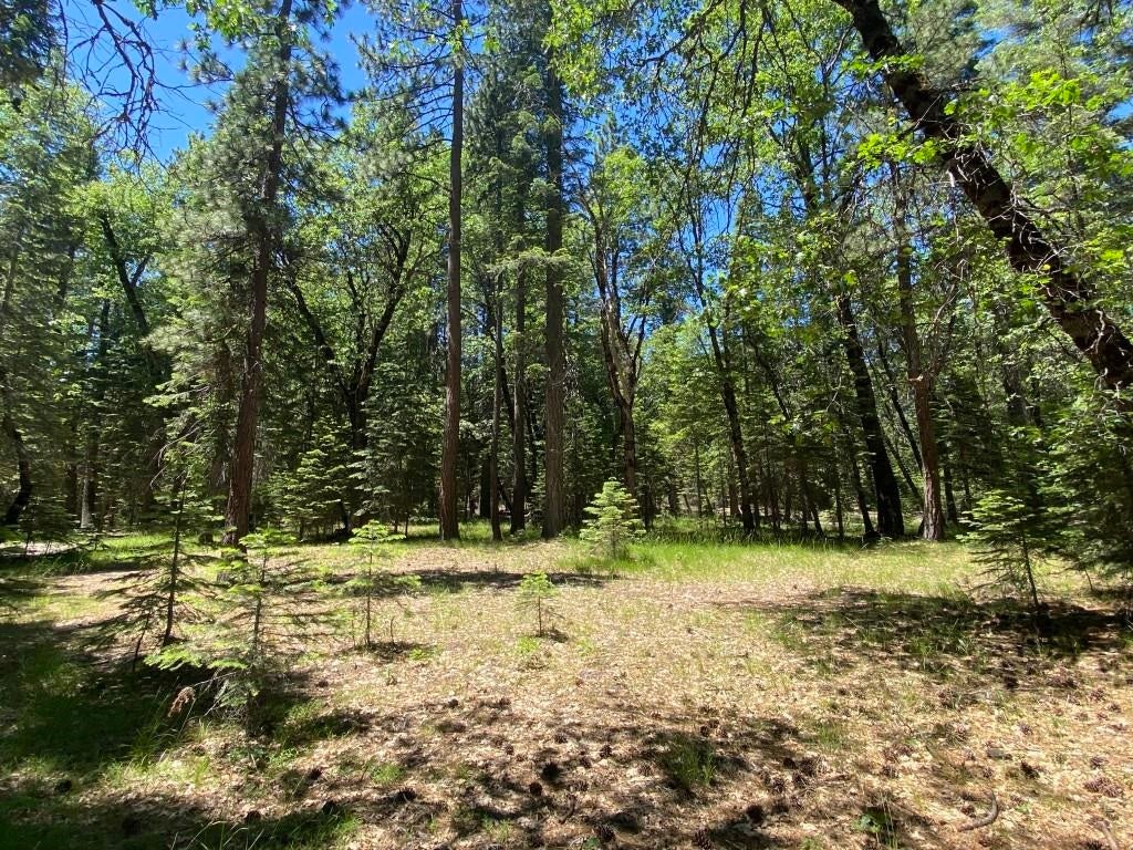3-e-29 Red Fir Road McCloud, CA 96057 - Photo 1 of 22 Gallery Image 1