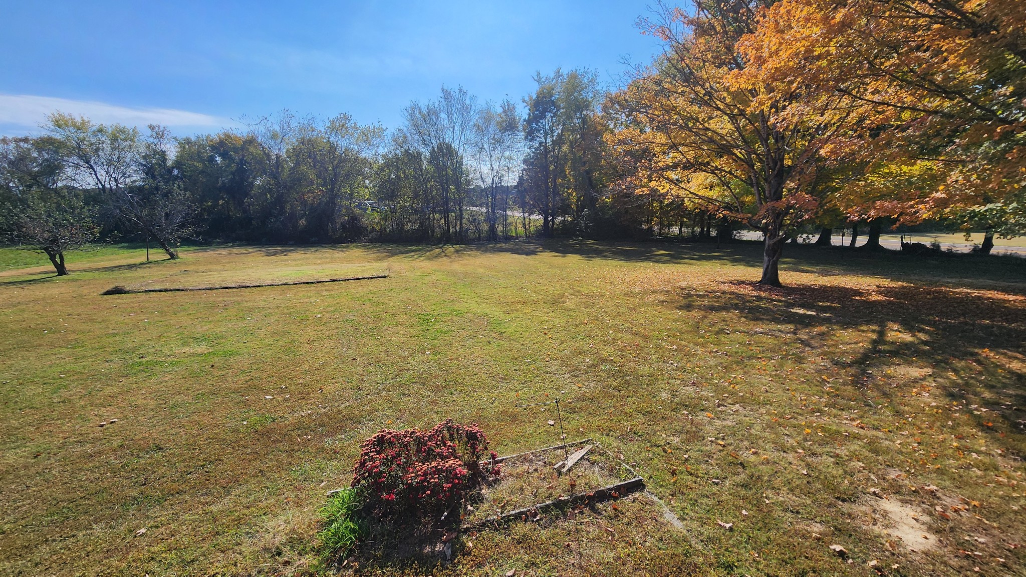8205 Cedar Grove Road Big Sandy, TN 38221 - Photo 4 of 27