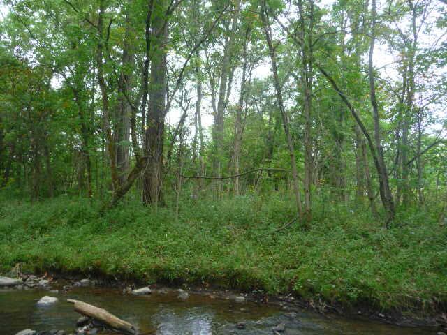 0 Homer Road Northwest Centerburg, OH 43011 - Photo 2 of 5