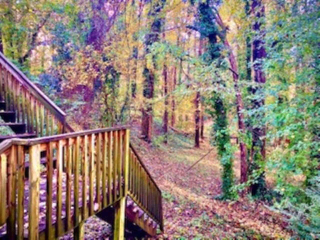 3421 Baugh Street Raleigh, NC 27604 - Photo 26 of 26 backyard