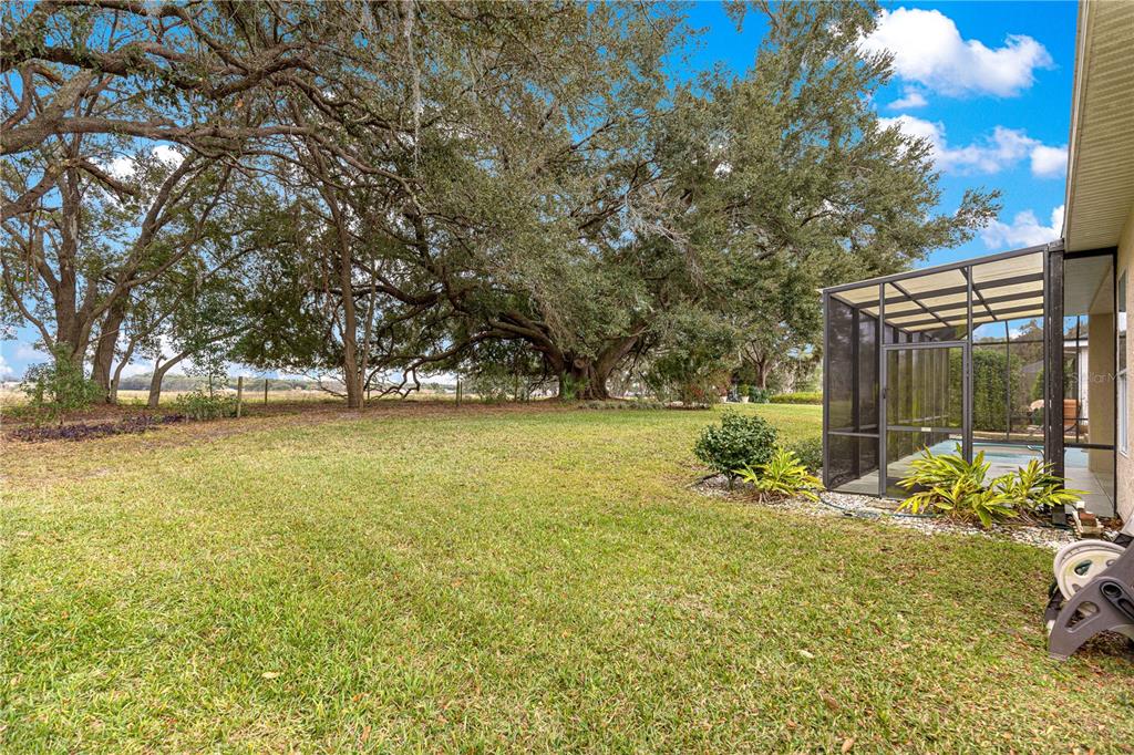 17187 Southeast 116th Court Road Summerfield, FL 34491 - Photo 44 of 59