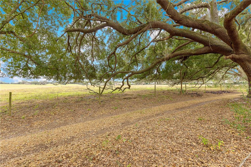 17187 Southeast 116th Court Road Summerfield, FL 34491 - Photo 45 of 59