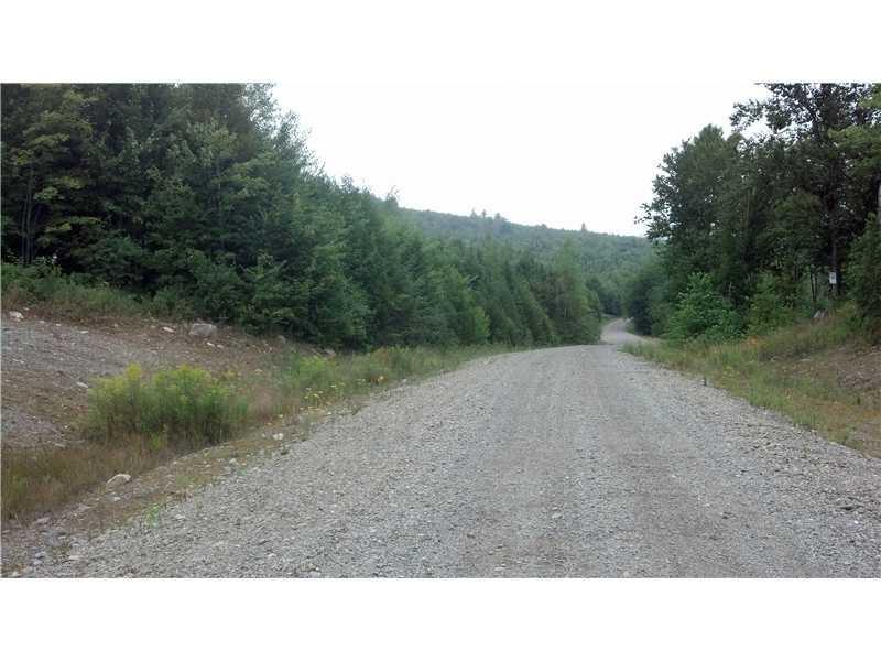 Lot # West Pleasant River Lake Road Beddington, ME 04622 - Photo 3 of 4 Land/Lot.