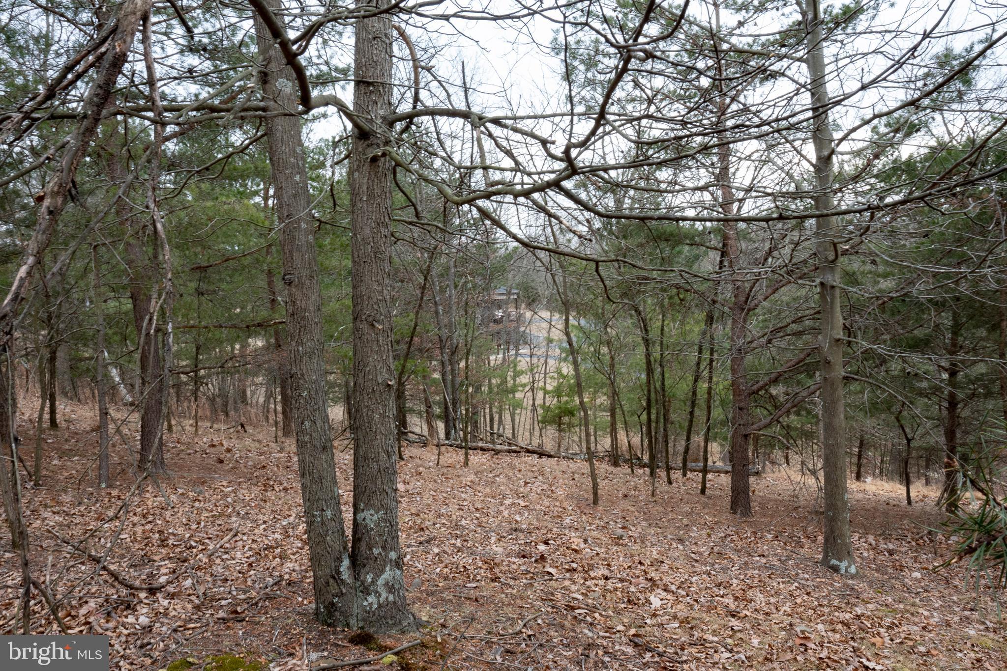 Lot 35 Montevideo Road Berkeley Springs, WV 25411 - Photo 8 of 11 Gallery Image 8