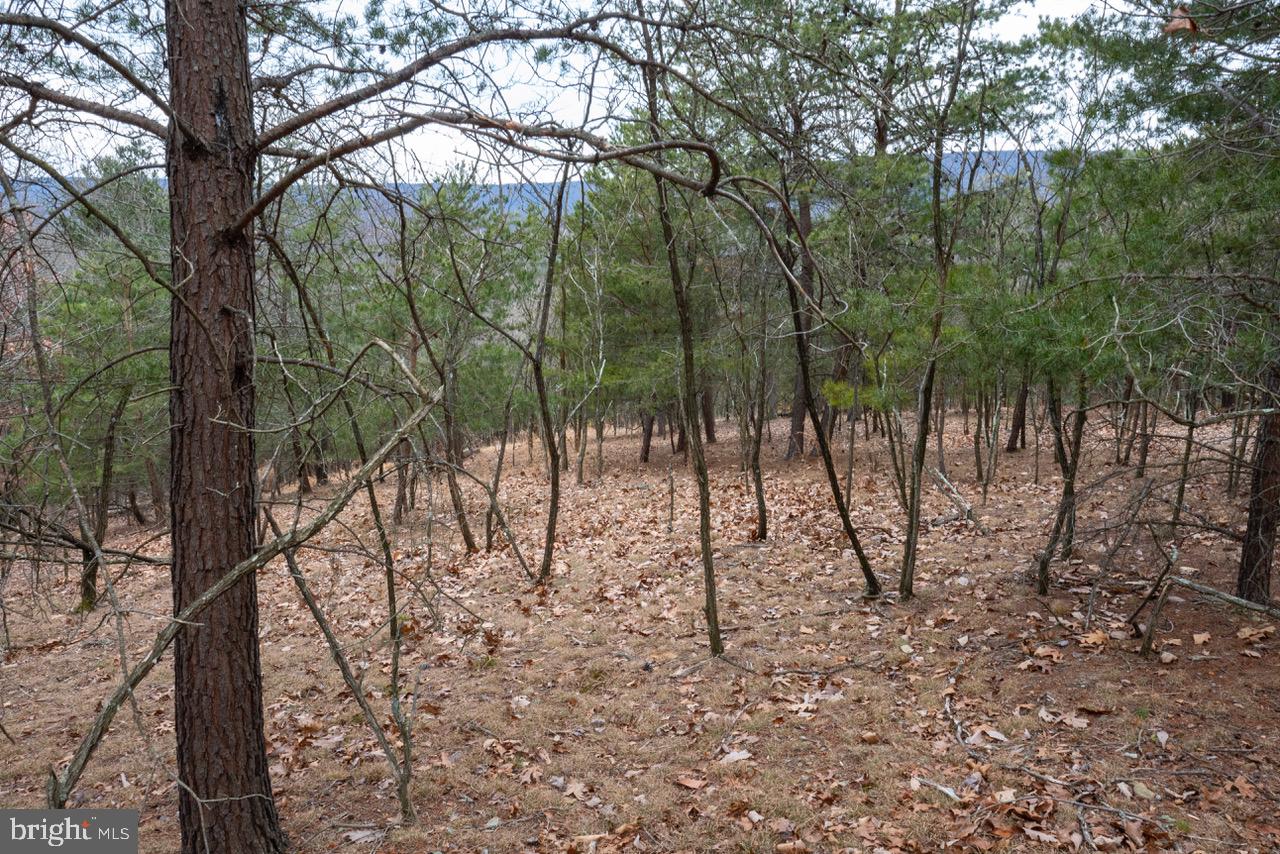 Lot 35 Montevideo Road Berkeley Springs, WV 25411 - Photo 9 of 11 Gallery Image 9