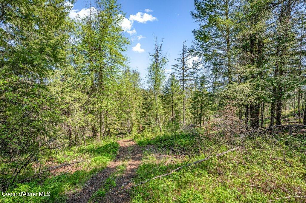 3183 Eastside Road Priest River, ID 83856 - Photo 51 of 85 Land