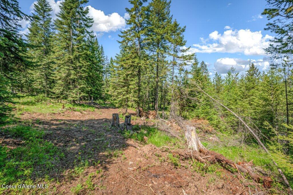3183 Eastside Road Priest River, ID 83856 - Photo 52 of 85 Land