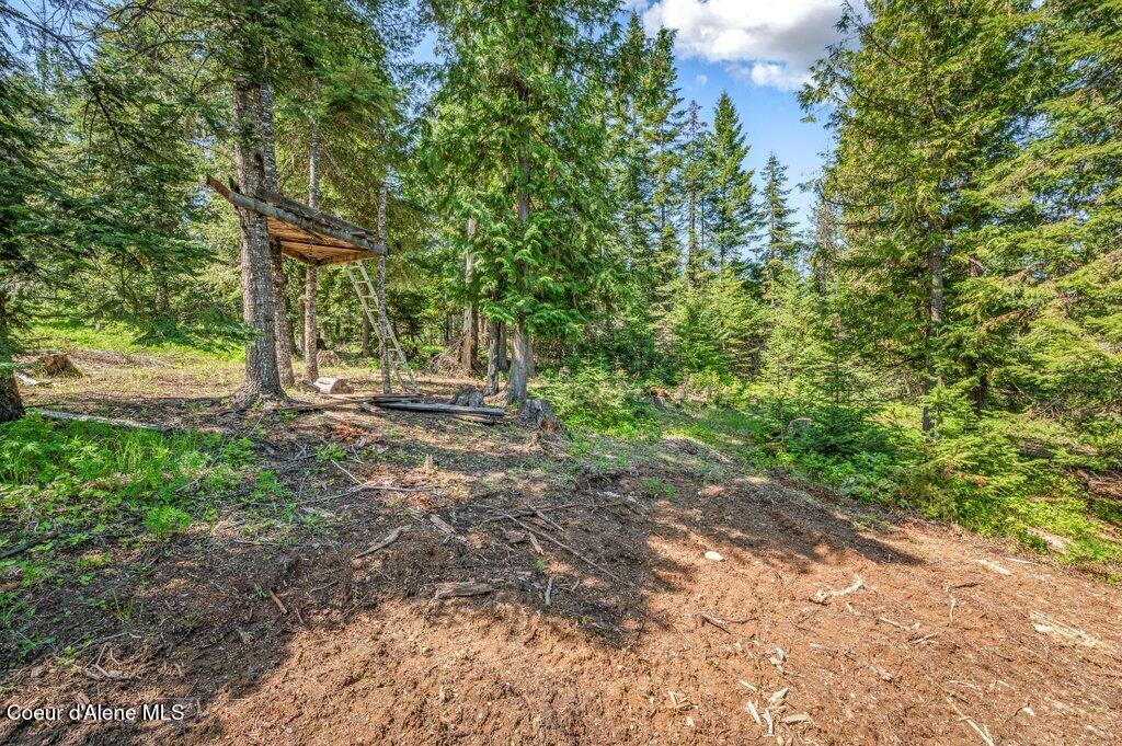 3183 Eastside Road Priest River, ID 83856 - Photo 53 of 85 Land