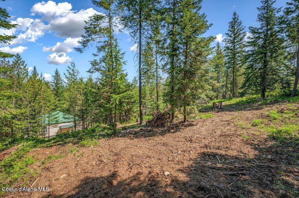 3183 Eastside Road Priest River, ID 83856 - Photo 54 of 85 Land